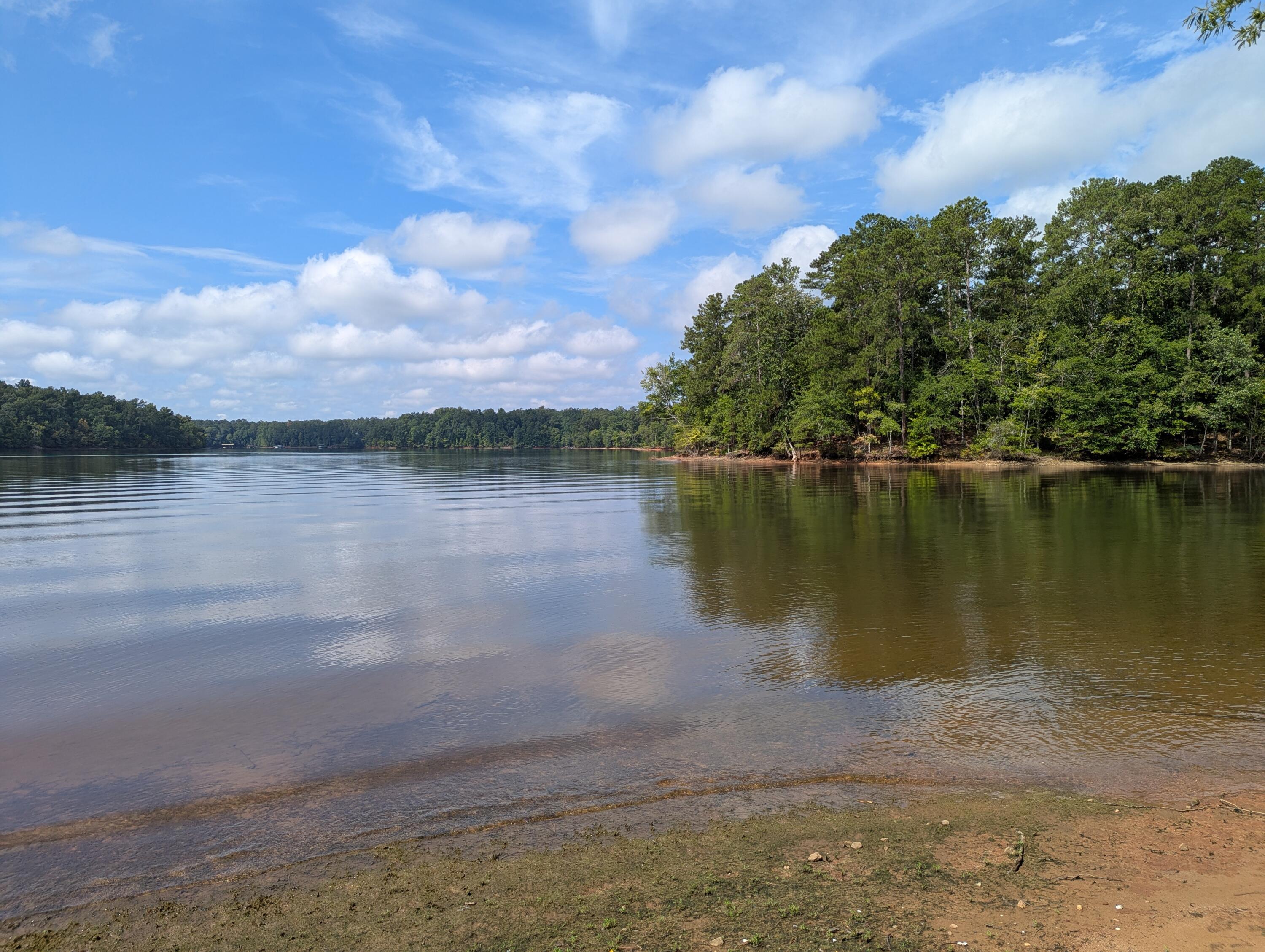 Image 4: PXL_20250730_145141620 (1)