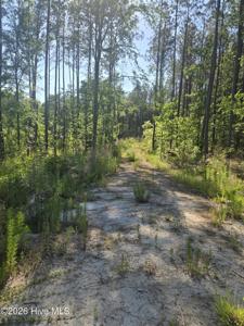 1048 Serenity Pointe Drive