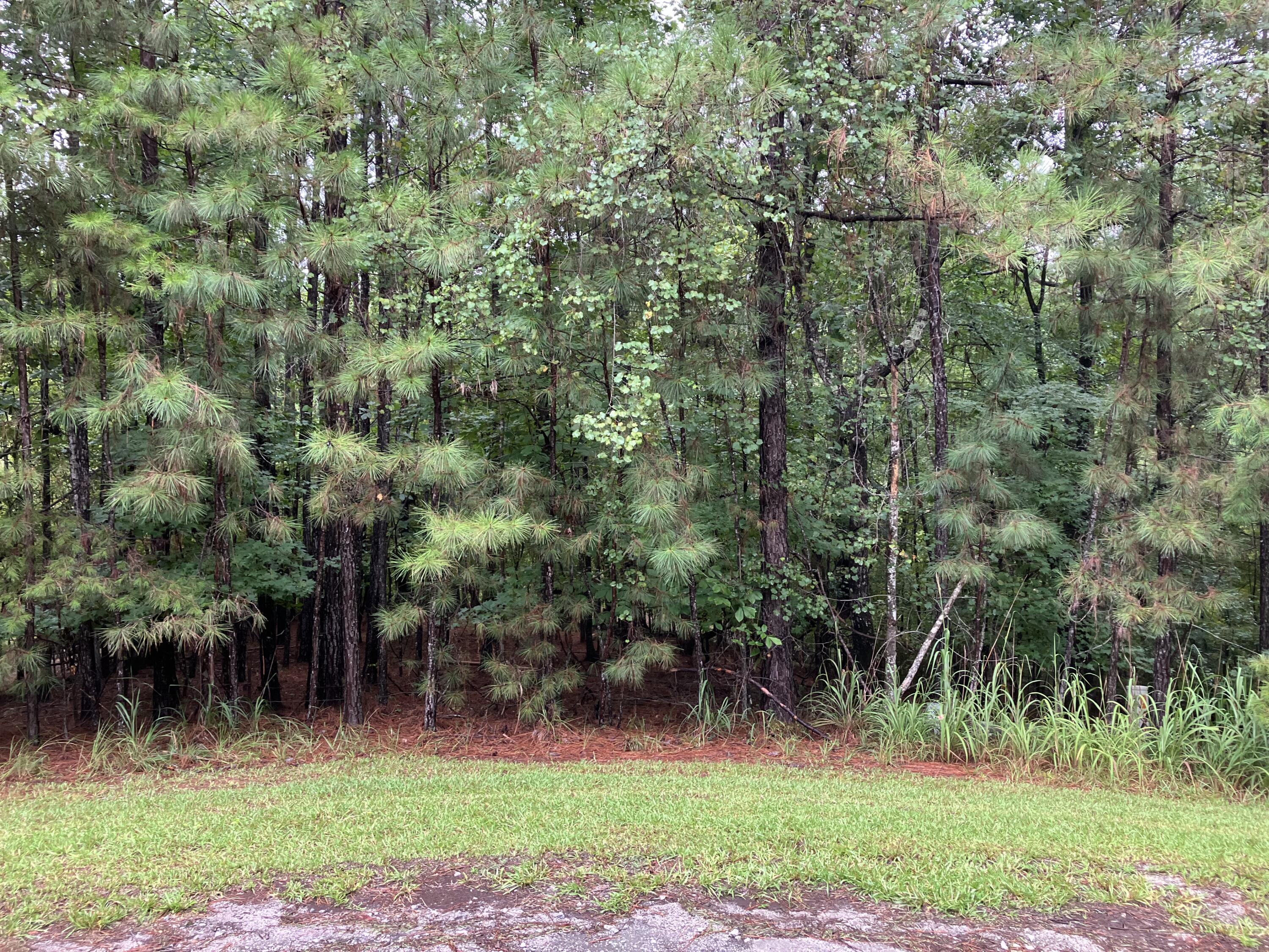 Image 3: IMG_6095