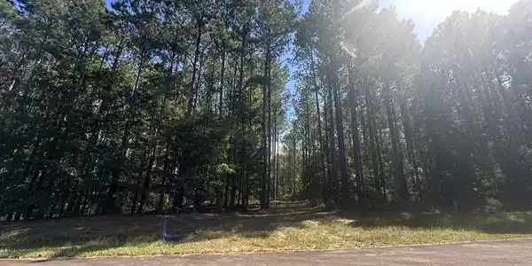 Lot 32 Petersburg