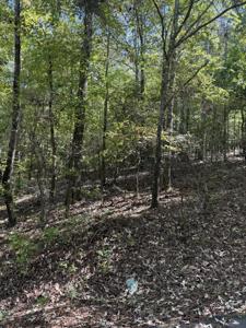 Lot 14b Lbk Circle