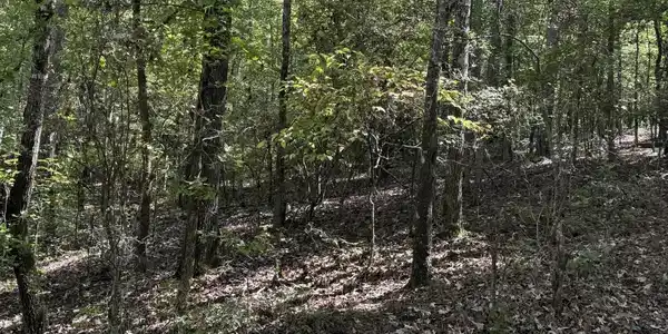 Lot 14b Lbk Circle