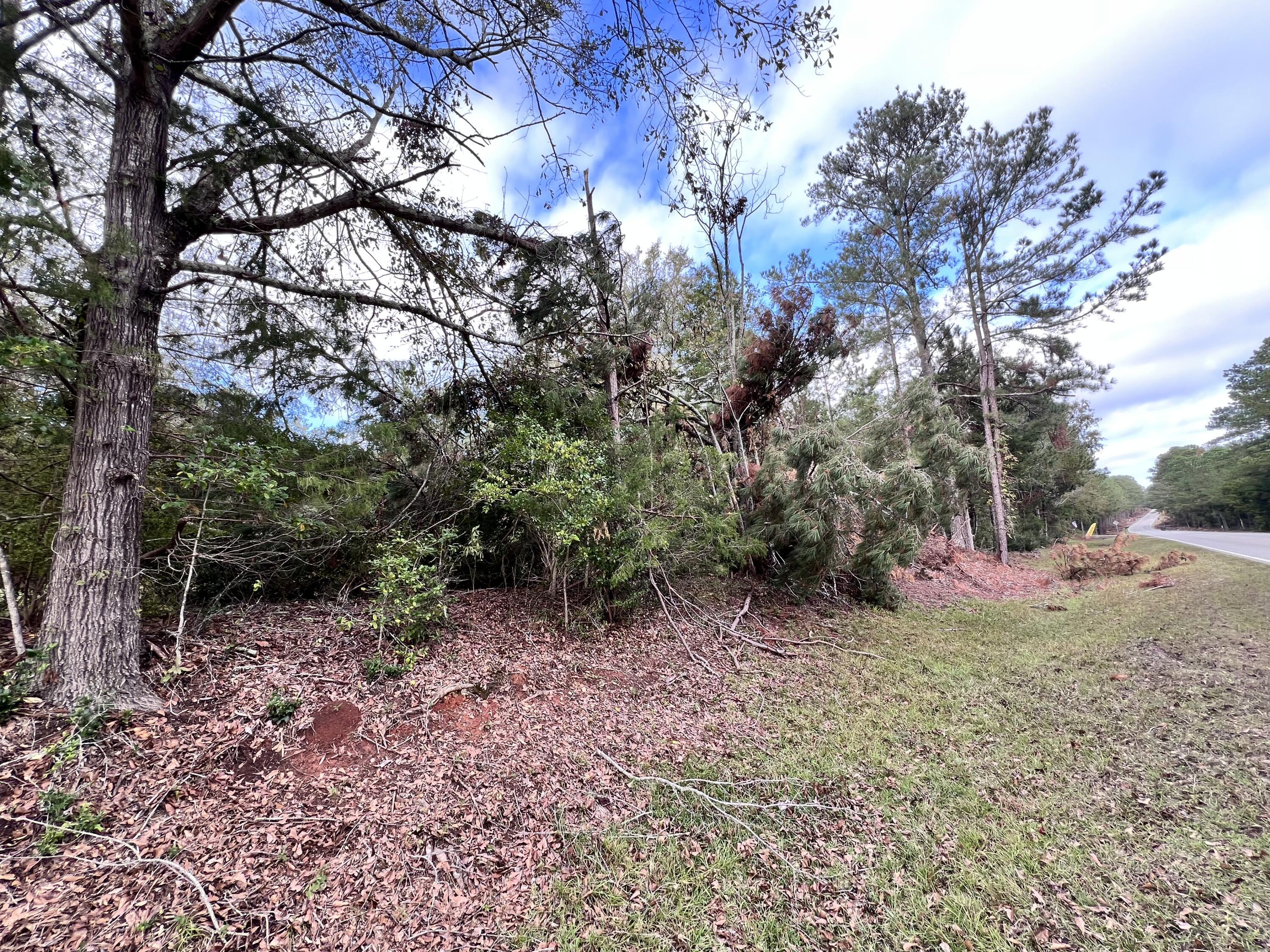 Image 3: IMG_0393