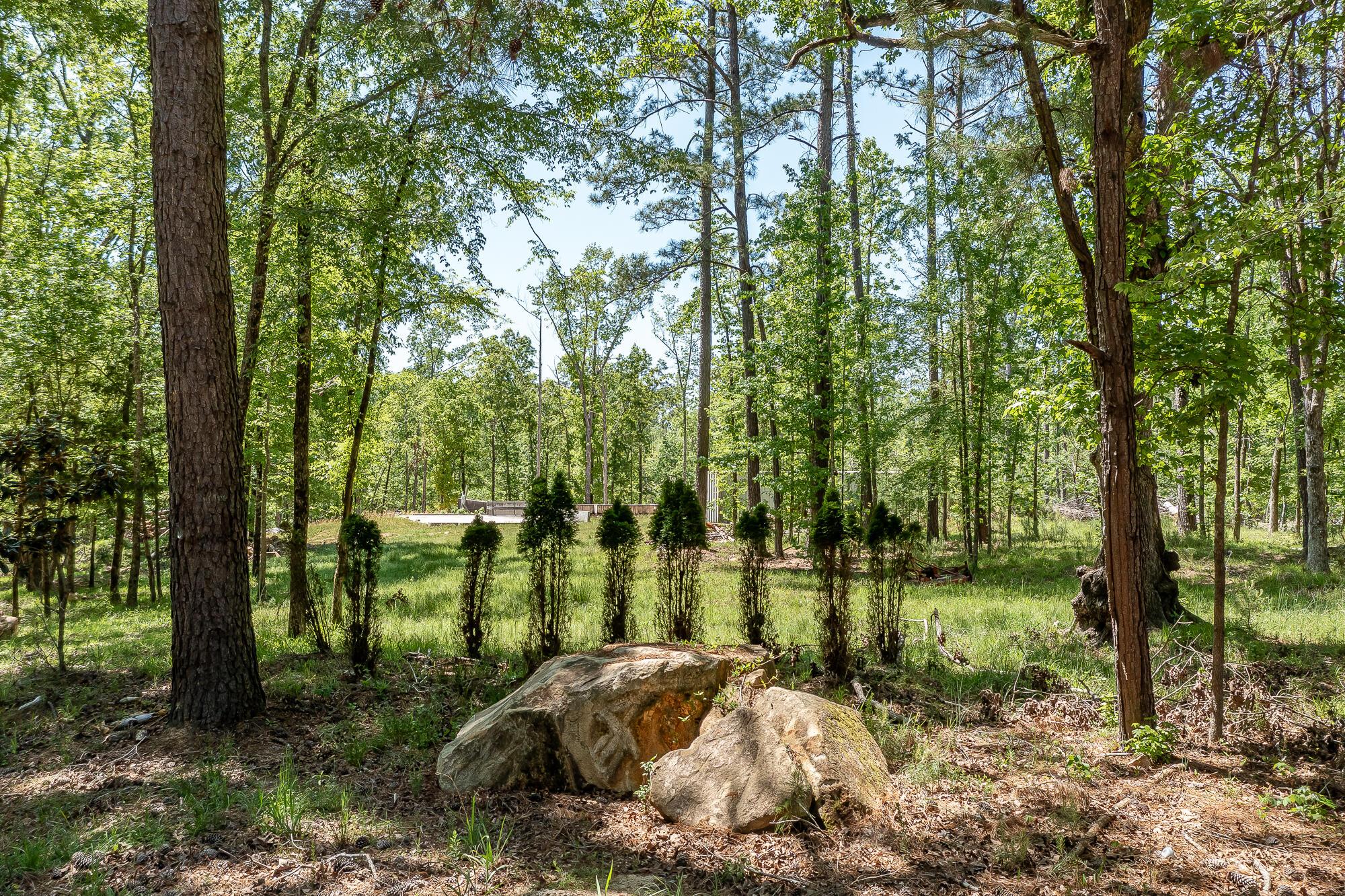 Image 3: 1250 MOSLEY RD. &copy;-0869