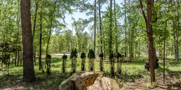 Image 3: 1250 MOSLEY RD. &copy;-0869