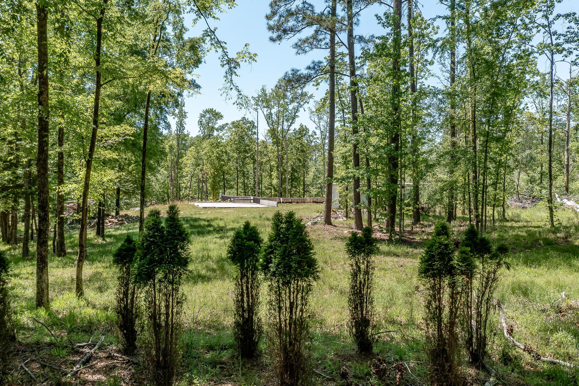 Image 4: 1250 MOSLEY RD. &copy;-0870