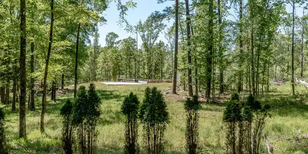 Image 4: 1250 MOSLEY RD. &copy;-0870
