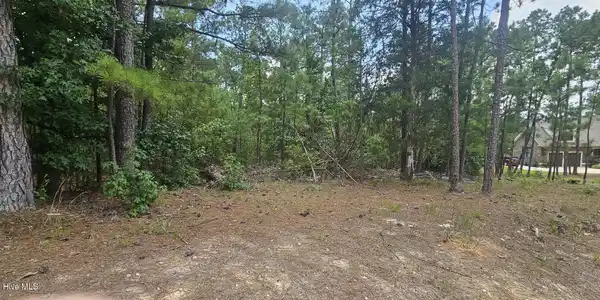 Lot 2 Amelia Drive