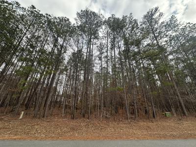 B14 L18 Candlewick Loop