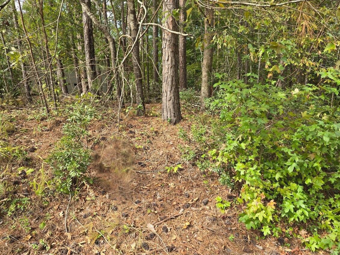 Image 1: Brassie Dr Photo