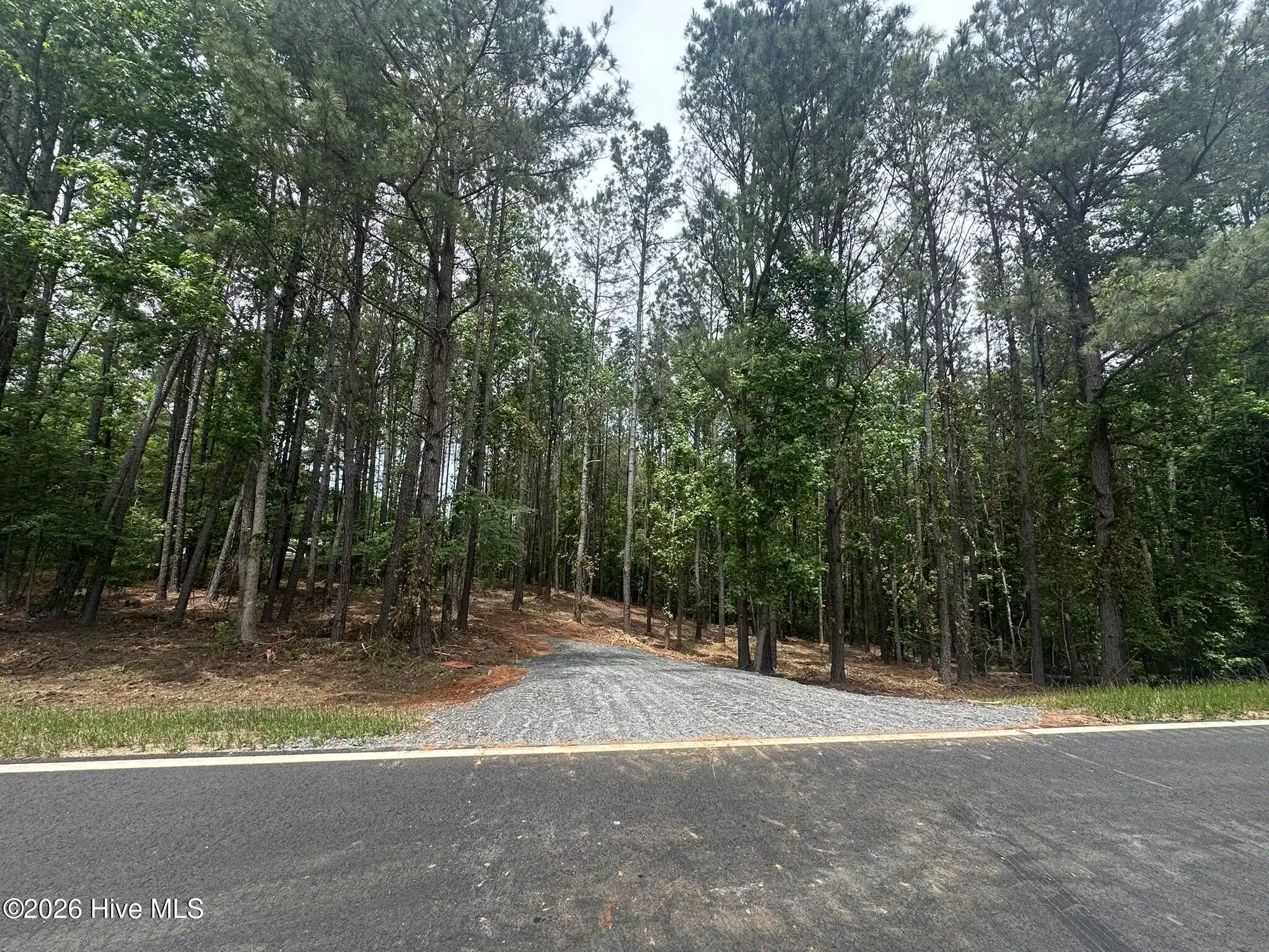 Image 1: Road Frontage