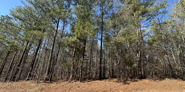 Lot 31 Willow Way