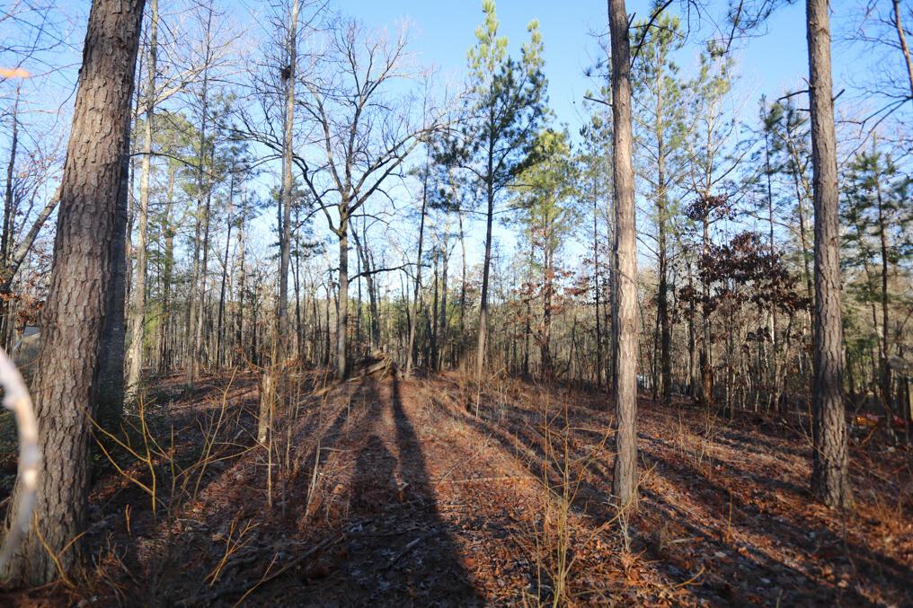Image 2: 1102 Dogwood Dr (1 of 1)