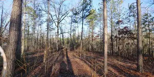 Image 2: 1102 Dogwood Dr (1 of 1)
