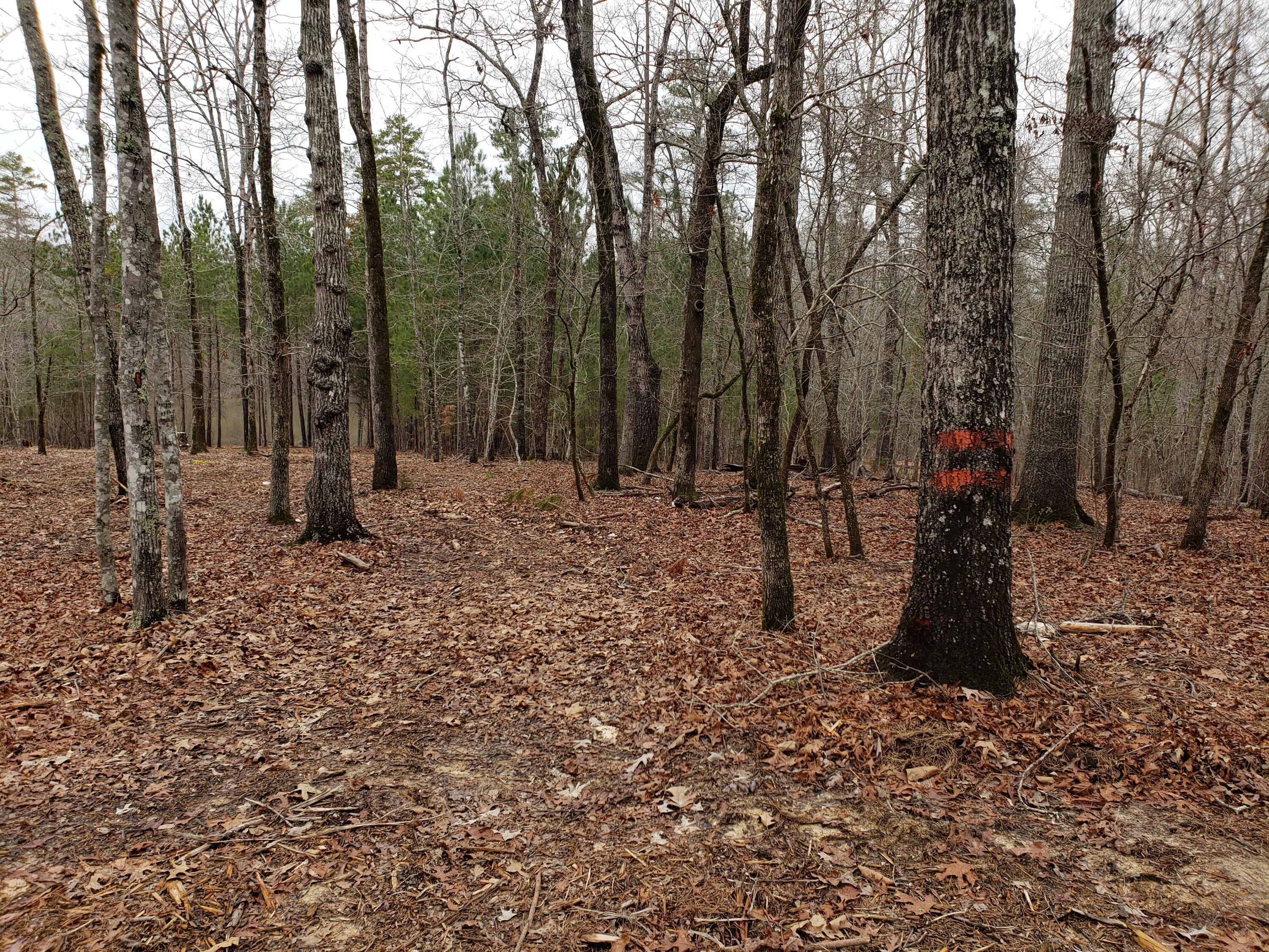 Image 3: 20210317_160146
