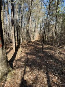 L31 WILLOW Way