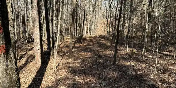 L31 WILLOW Way