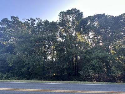 Lot 3a Elberton Highway