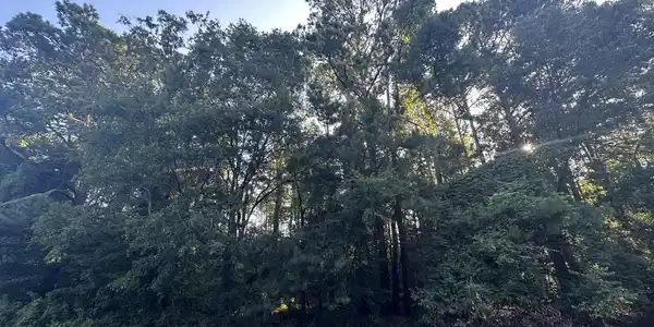 Lot 3a Elberton Highway