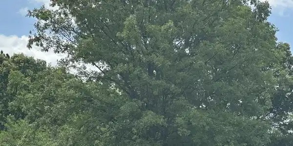 Lot 11 South Pointe Drive