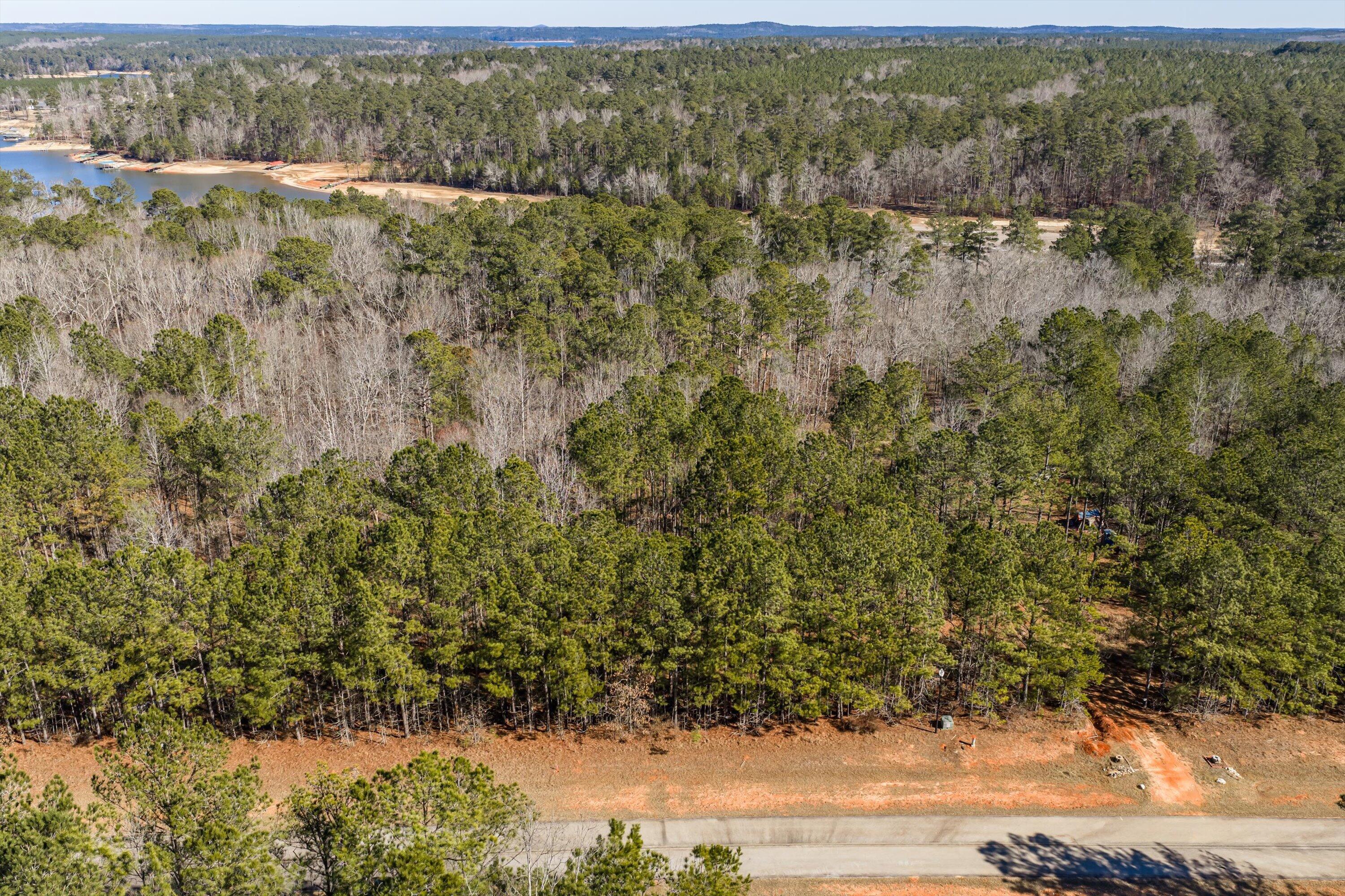 Image 4: 11-DJI_20260127115709_0191_D-HDR