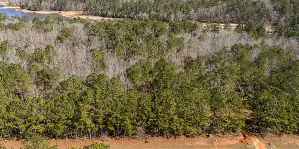 Image 4: 11-DJI_20260127115709_0191_D-HDR