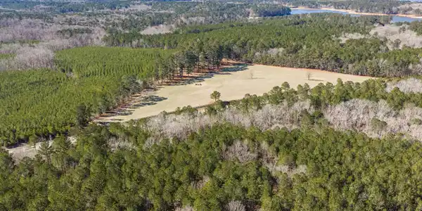 Image 2: 05-DJI_20260127122111_0252_D-HDR