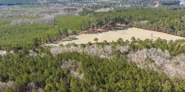 Image 3: 06-DJI_20260127122121_0255_D-HDR