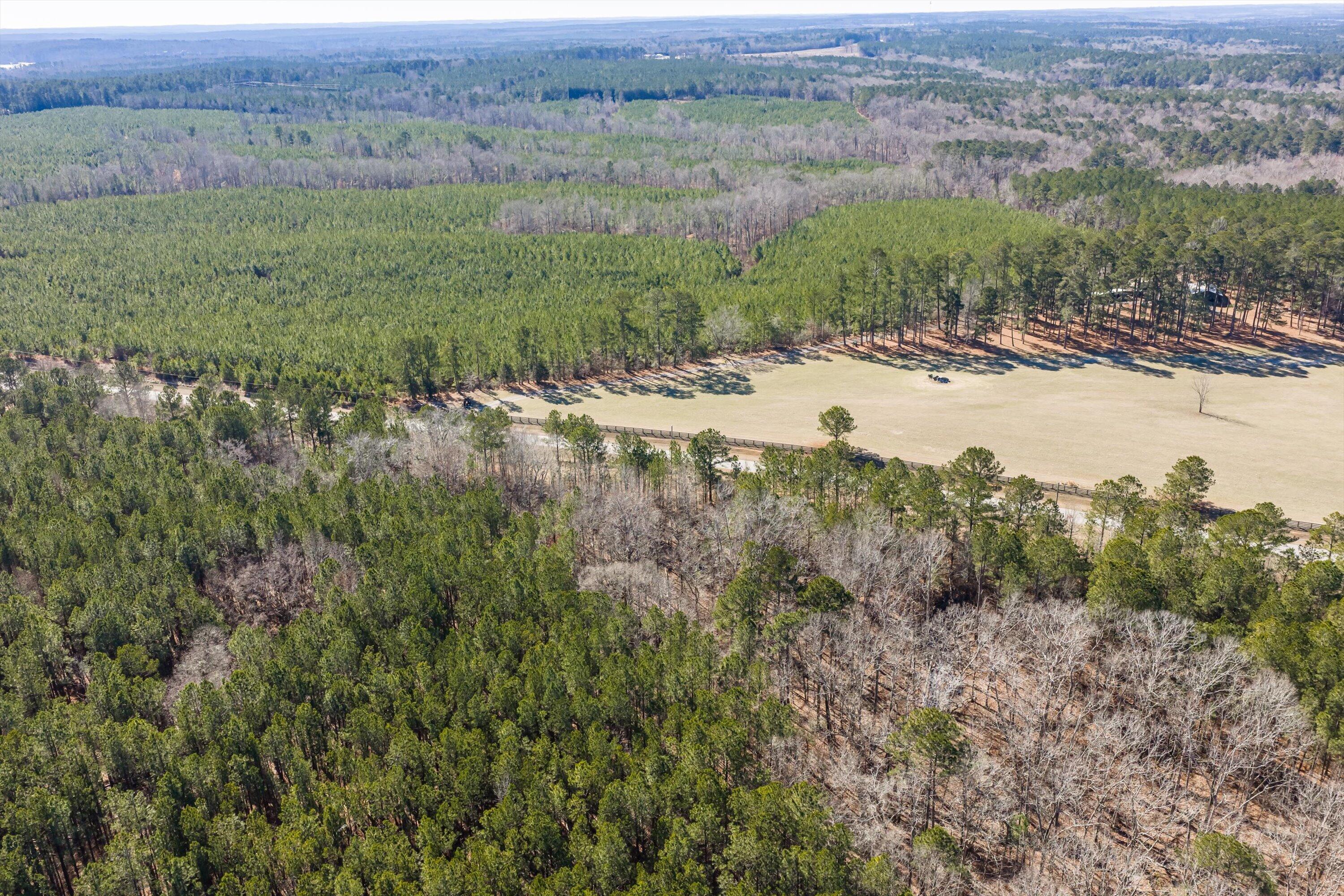 Image 4: 07-DJI_20260127122135_0258_D-HDR