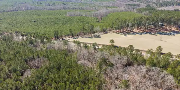 Image 4: 07-DJI_20260127122135_0258_D-HDR