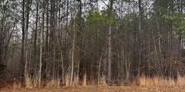 40 Landing Loop