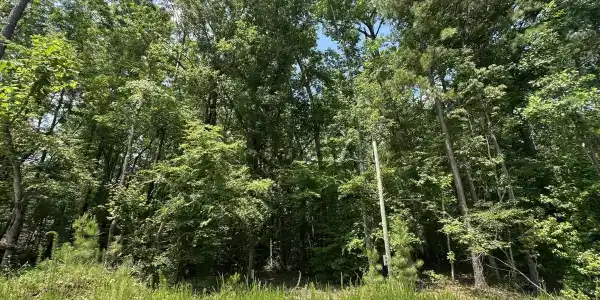 Lot 17 Lakeshore Estates Drive
