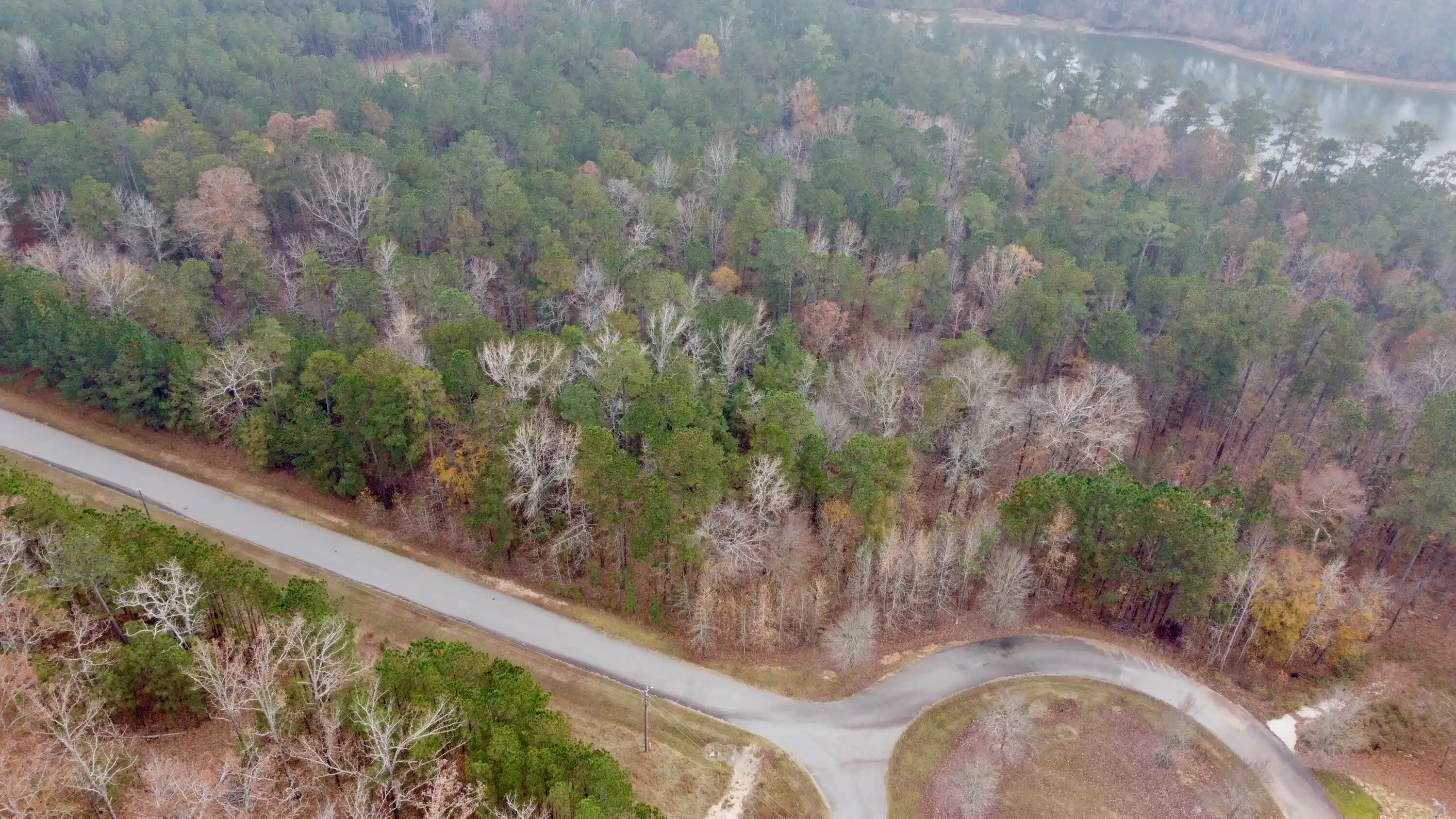 Image 1: DJI_0224