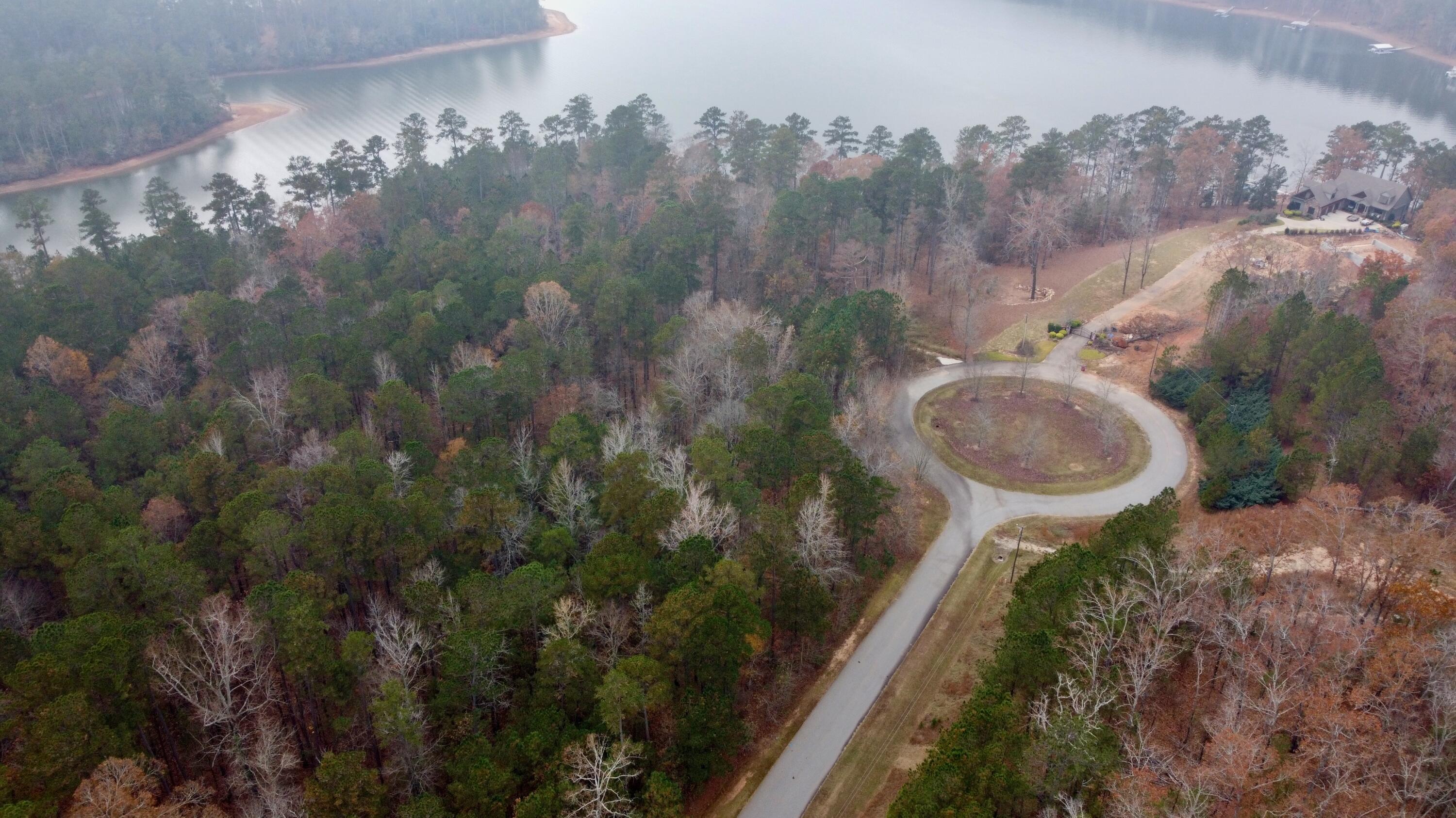 Image 2: DJI_0229