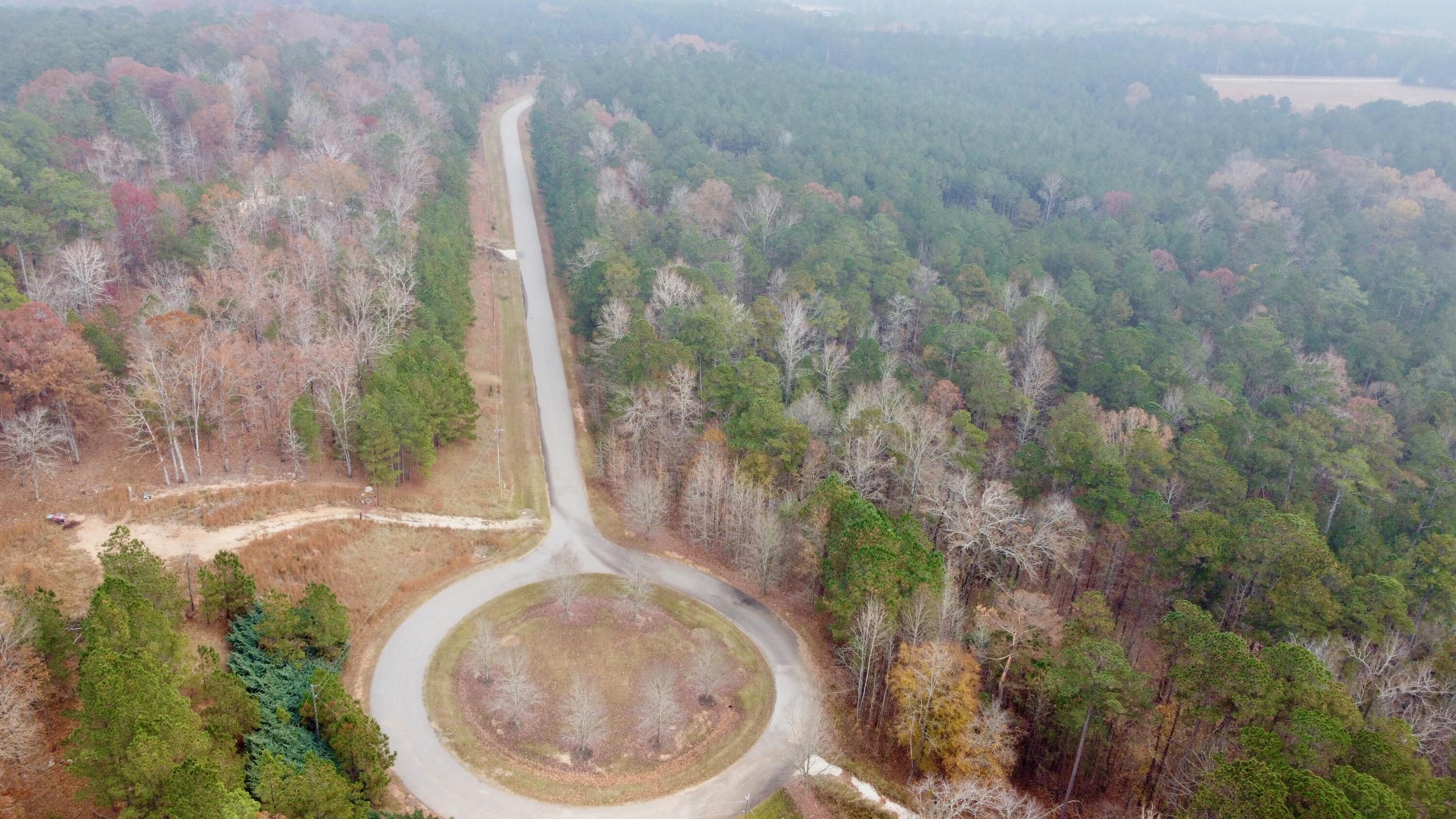 Image 3: DJI_0242