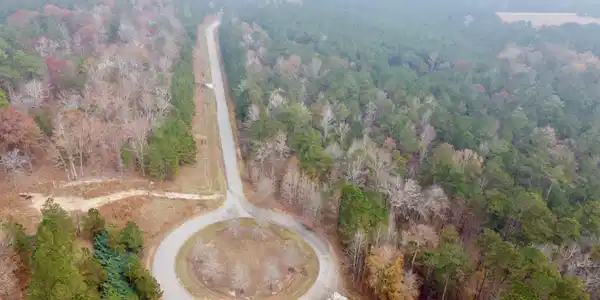 Image 3: DJI_0242