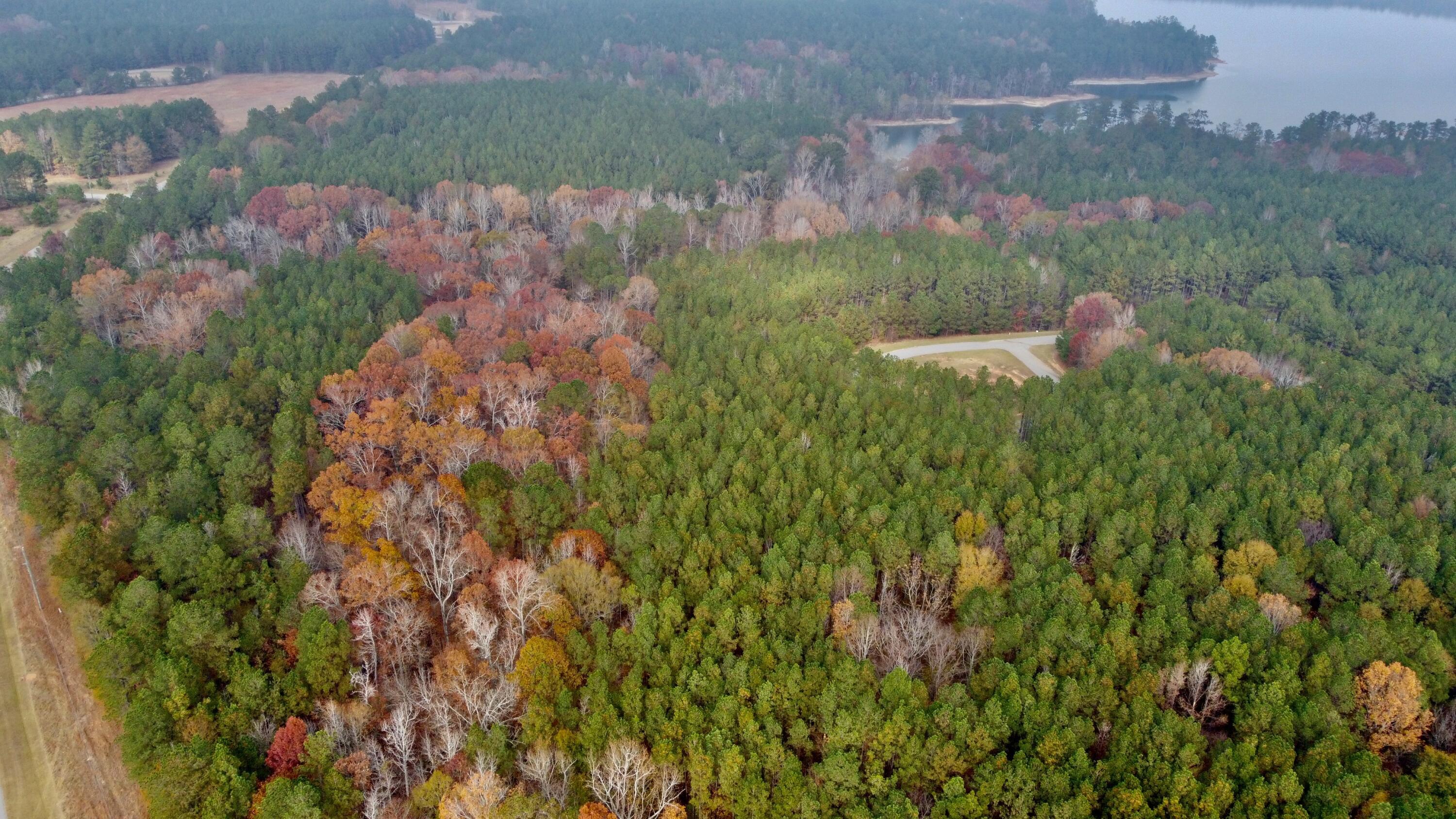 Image 2: DJI_0253