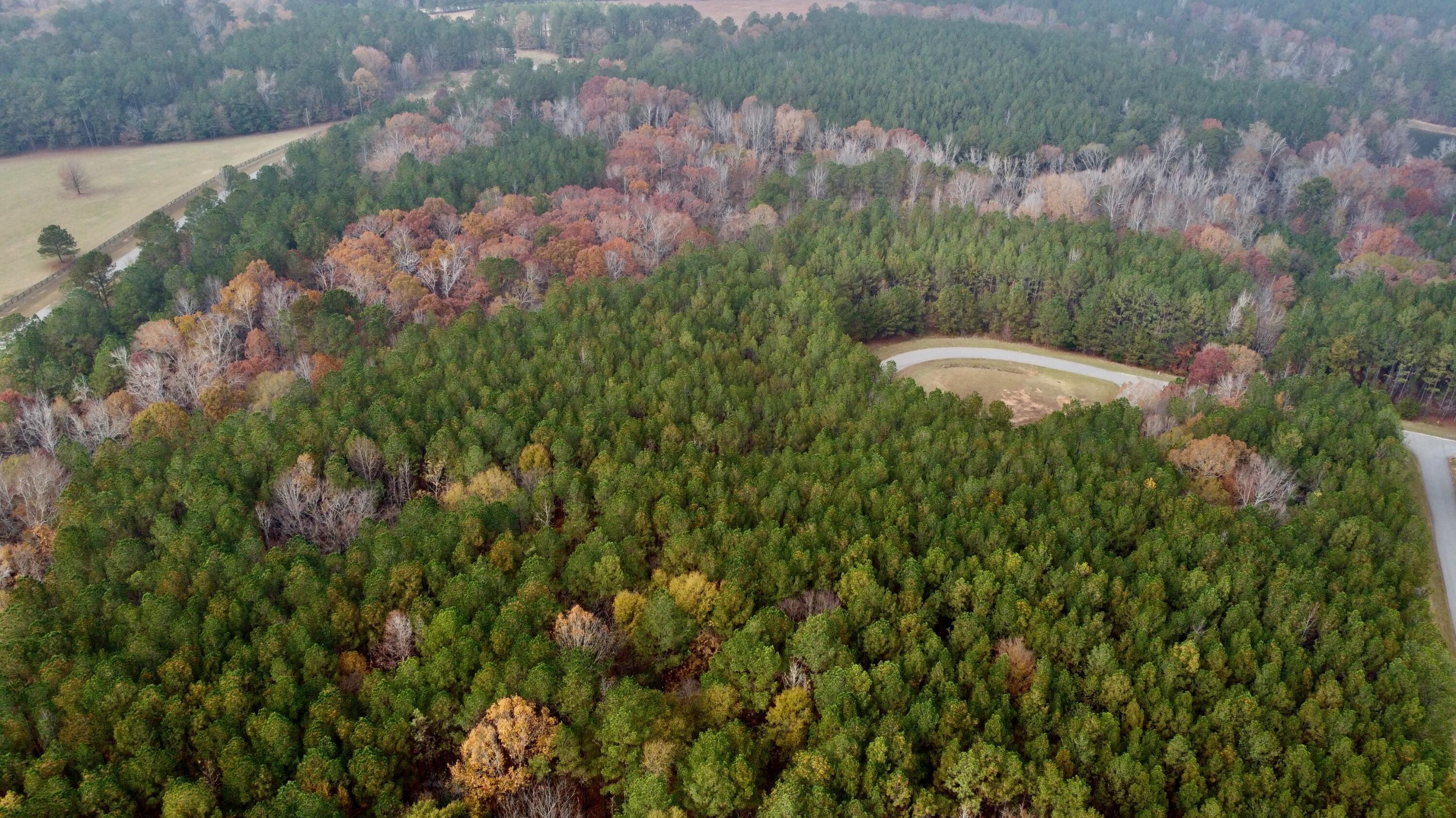 Image 3: DJI_0251