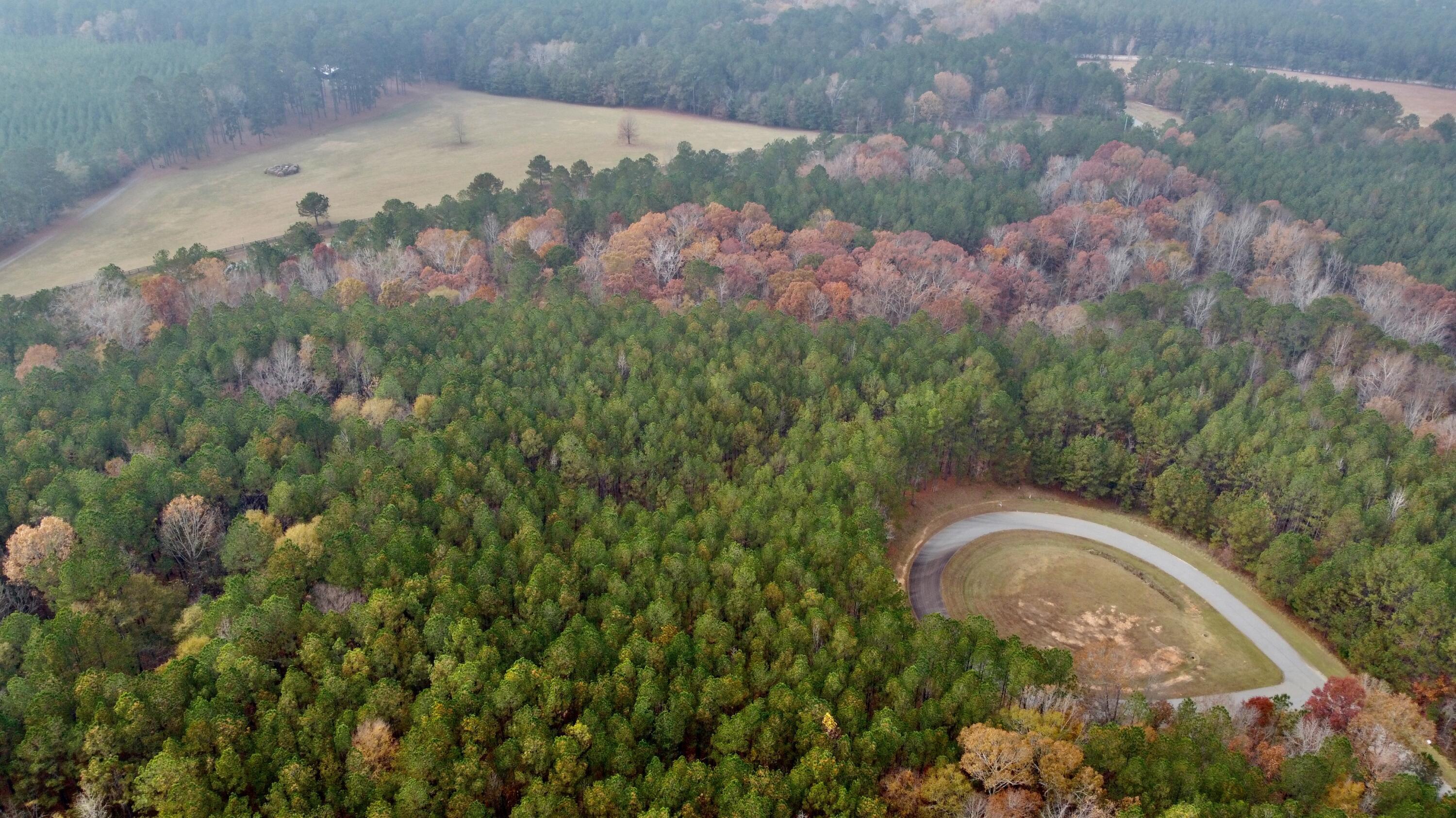 Image 4: DJI_0249