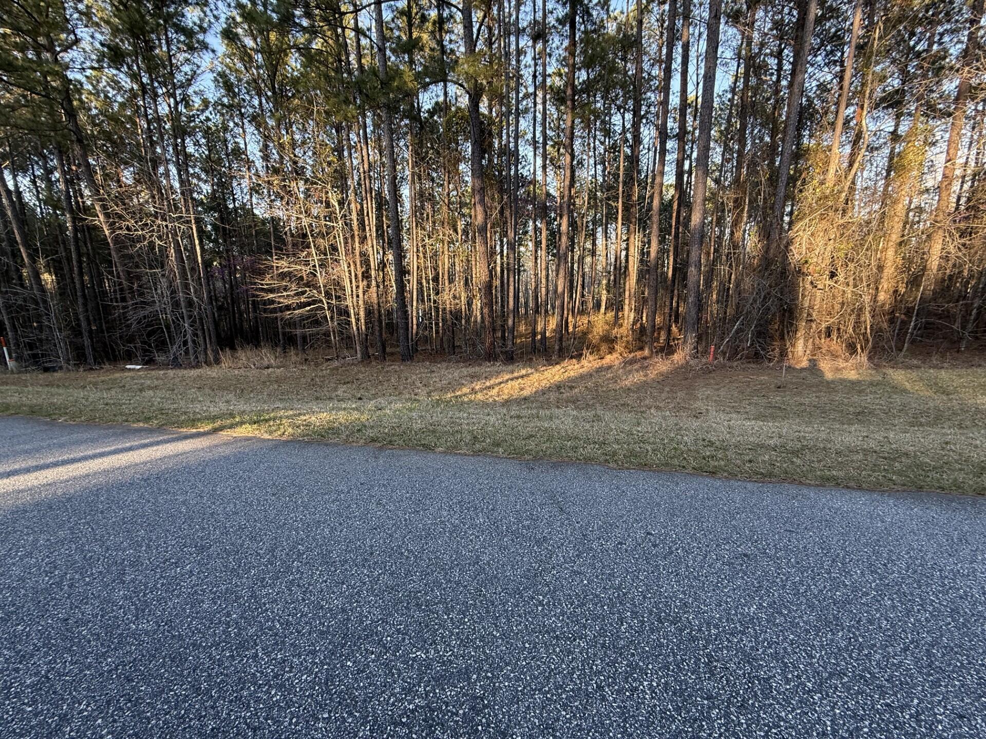 Image 1: Road View