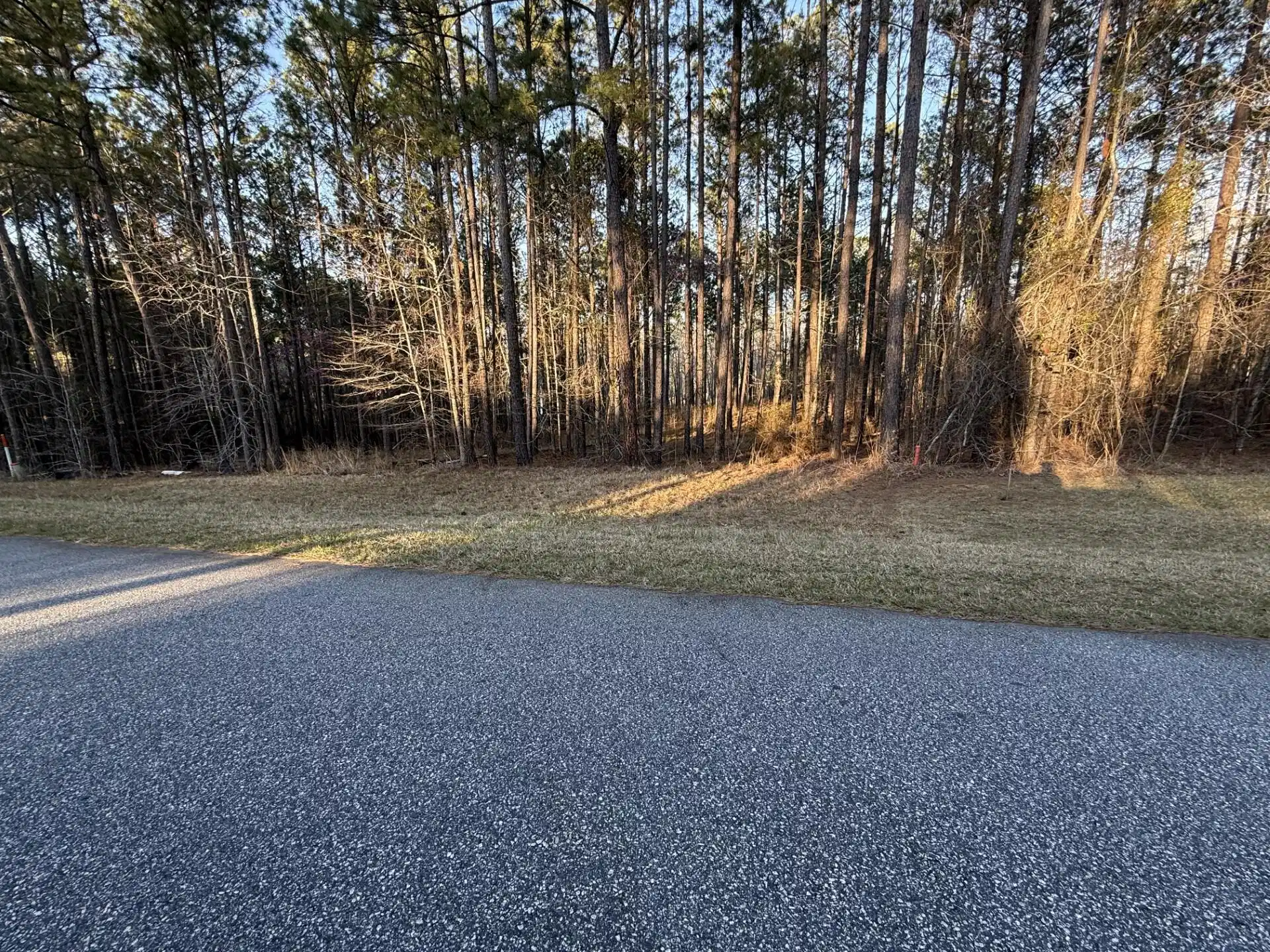 Image 1: Road View