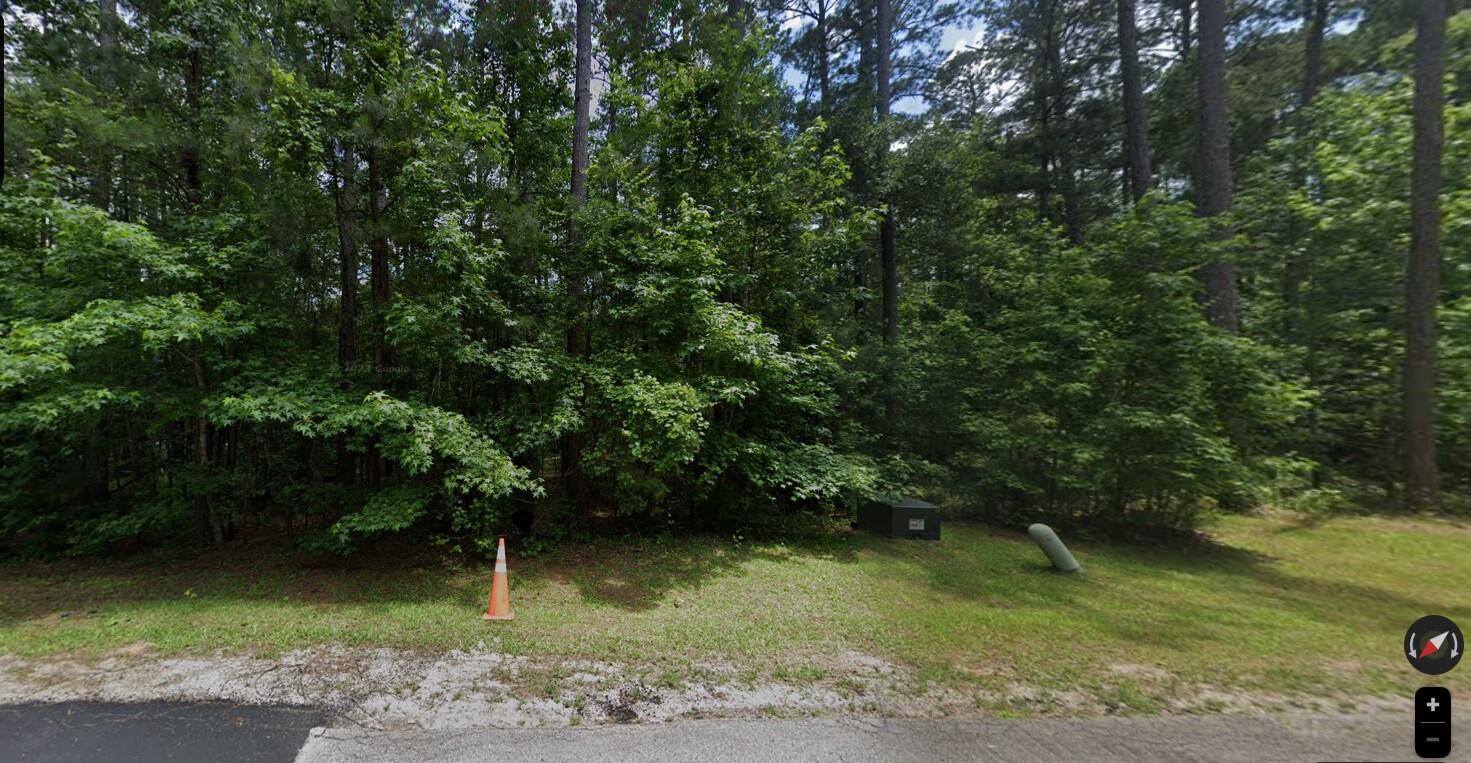 Image 1: View from Road, Rhett Drive