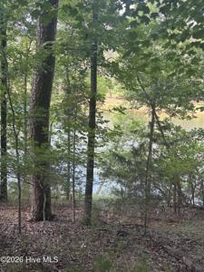 L5 Bl65 Overlook Point