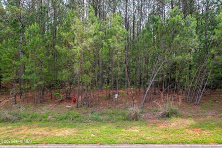 1054 Longleaf Way