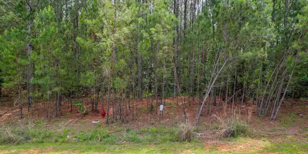 1054 Longleaf Way
