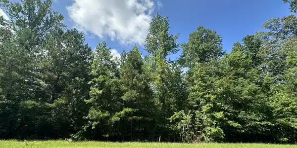 Lot 11 South Pointe Drive