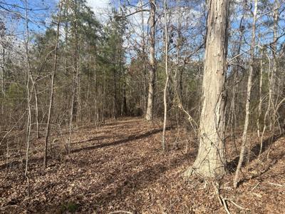265 LOST POND Lane