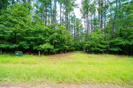 Lot 36 Savannah Ridge Road