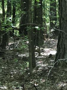 LOT 3 C LIGHTHOUSE POINTE