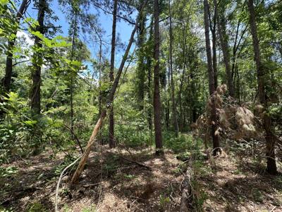 B72  L17 CHARLOTTE Drive